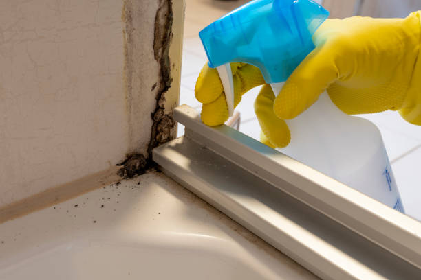 Best Toxic Mold Removal  in Murfreesboro, TN